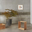 Oak stool placed next to a tall plant, on a concrete floor