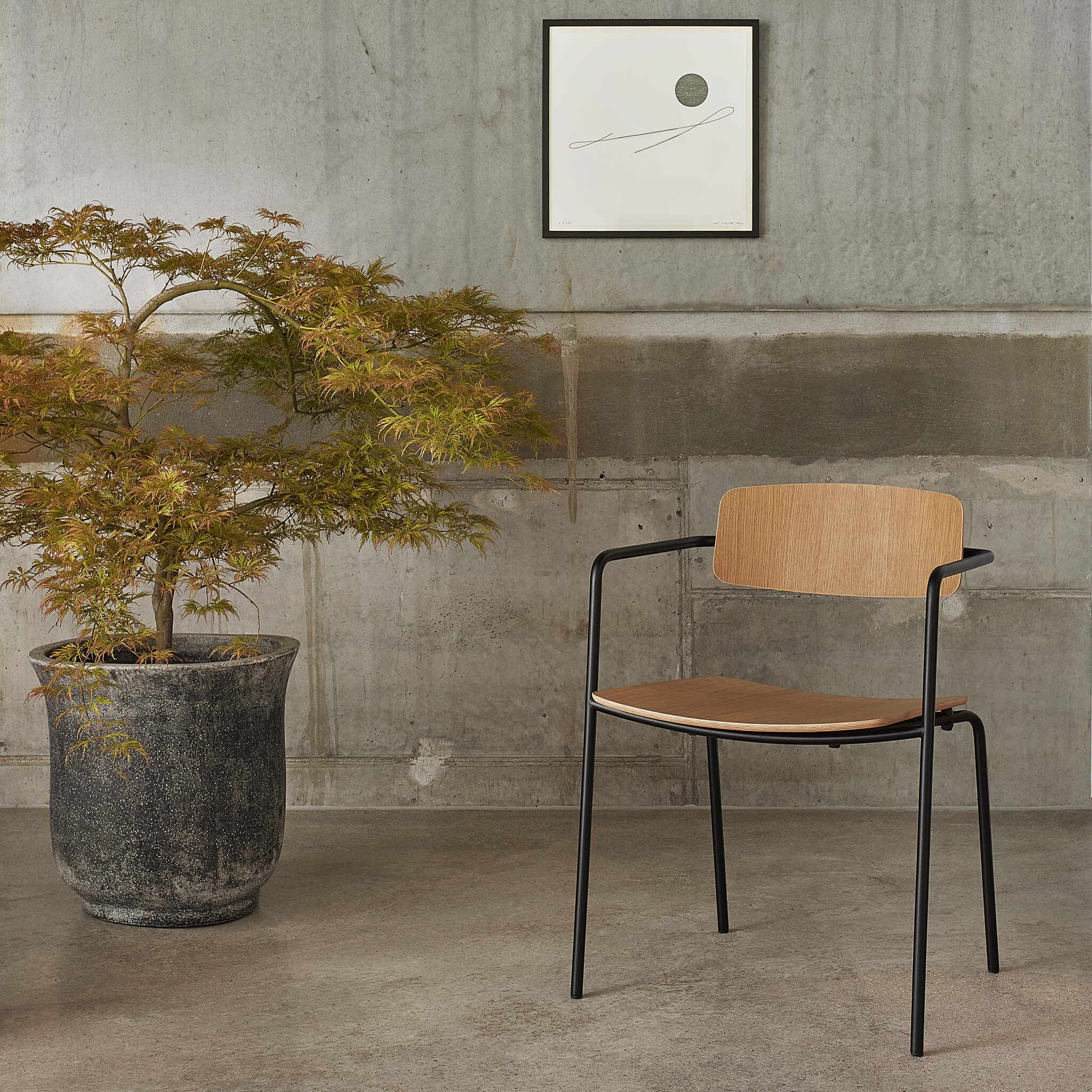 Open back dining chair, natural oak version, view