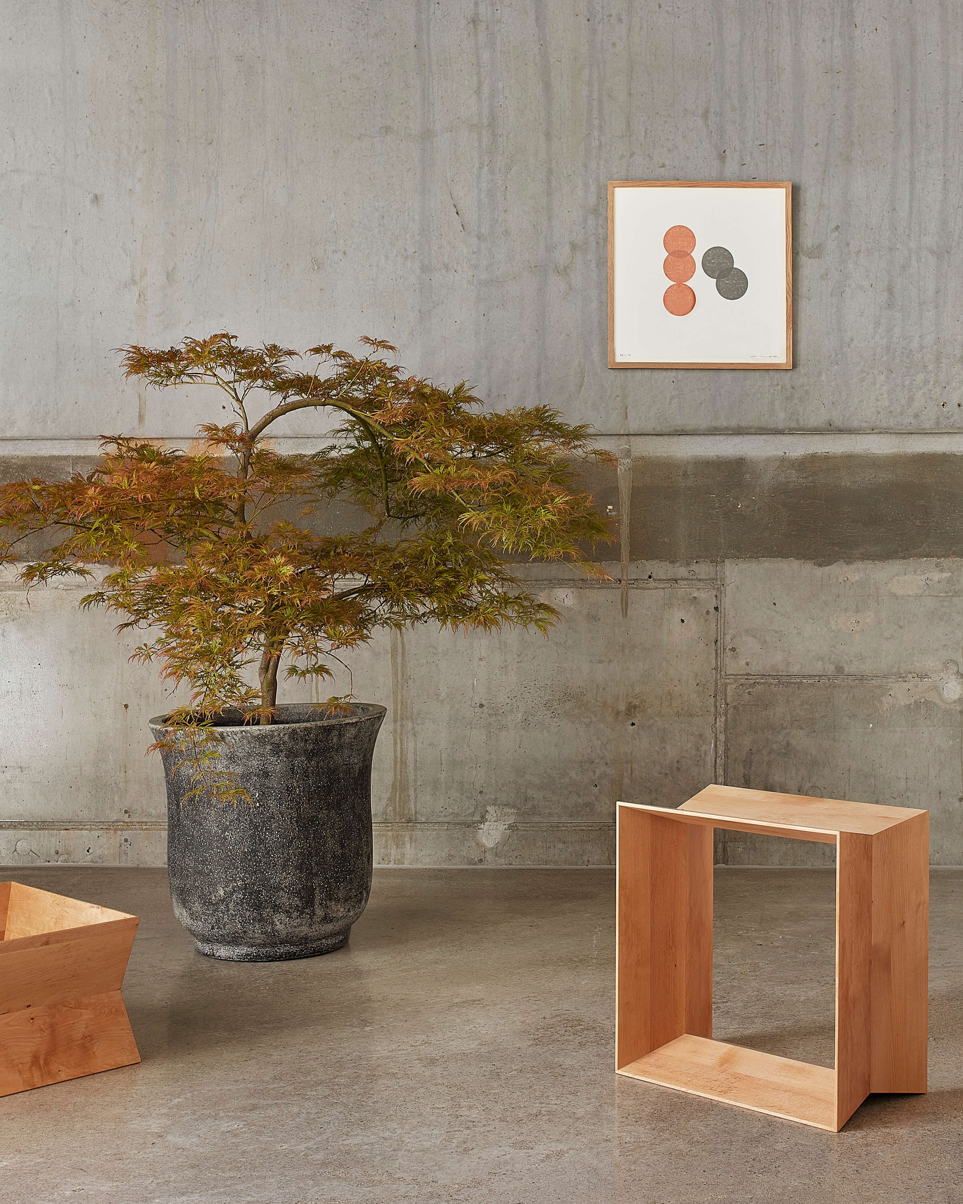 Reflex Oak Stool | Motarasu